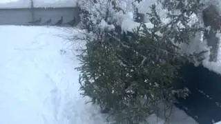 Kotalan tila toivottaa hyv&auml;&auml; uutta vuotta!