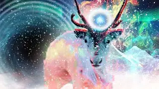 The Sami: Stainnak, Reindeer & Blood Sacrifices