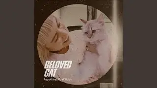 Beloved Cat