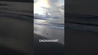 Eto ang dagat #51KikoPangilinan #beachcomedy #comedyshorts #subscribers  #fyp