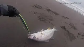 Pesca de corvina y robalo con DUO TIDE MINNOW SLIM 200 FLYER, color dark phoenix.