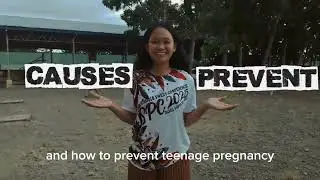 INFOGRAPHICS VIDEO ( teenage pregnancy)