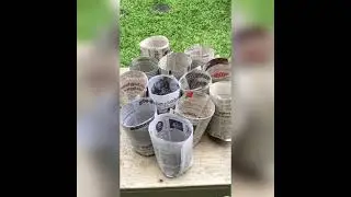making a biodegradable pot🪴🤗💚👆#plantslover#pots#plants..do like share and subscribe 🙏thx4watching