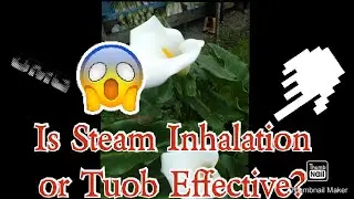 IS STEAM INHALATION EFFECTIVE TO CURE THE DISEASE COVID-19/PROCESS/BENEFITS OF STEAM INHALATION