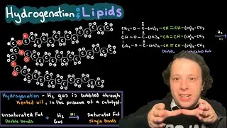 Lipids: Hydrogenation of Unsaturated Fats