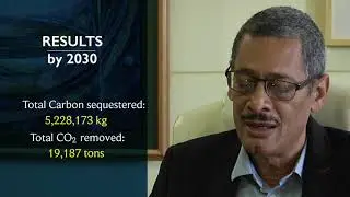 Trappings of Success | Carbon Sequestration Study