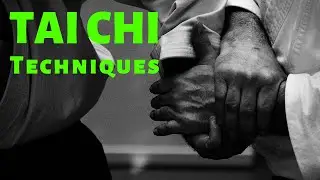 Top Tai Chi Techniques | Ward off & Rollback Tai Chi Technique (2019)
