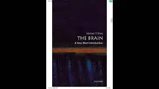Beyni d&uuml;ş&uuml;nmek - The brain - Oxford A very short introduction