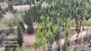 416 Willow Rd, Divide, CO 80814