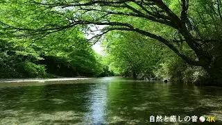 【自然の音】新緑の季節と川のせせらぎ、癒し、睡眠、リラックス、作業用【２時間】