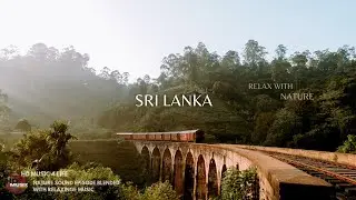 Relax with Nature: Sri Lanka | Relaxing music for Calming mind, Stress relief | #hdmusic4life