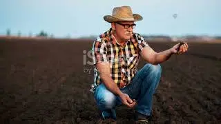 This Riverbank Trick Moisturizes Soil for Weeks Without Rain