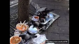 오늘도 충무로엔 별이 뜨고