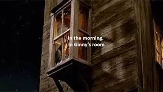 Harry Potter after the war episode 3