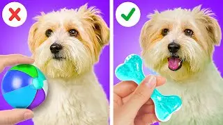 GENIUS GADGETS AND HACKS FOR SMART PET OWNERS