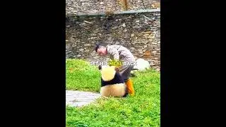Эта привязчивая панда никак не хочет отпускать! 🐼😂 #шорты