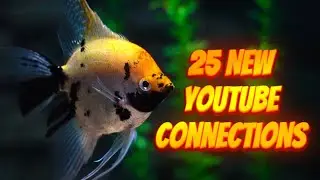25 New Connections! Welcome to The Source Network 🌟