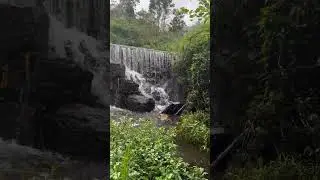 Nature spotlight&hellip;