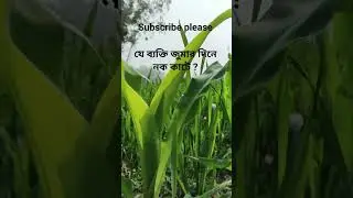 যে ব্যক্তি জুমার দিনে নক কাটে ? #viralshort #unfrezzmyaccount #video #valorantshor #islamicvideo #ab