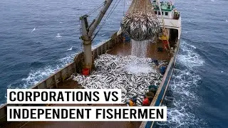 The Billion Dollar Fishing War: America's Overfishing Crisis | 4K