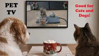 [4K] 📺 (Holiday Mug) Entertaining PET TV for Dogs and Cats to Watch! 11hrs