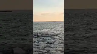Море, пляж 🏖️ #шортс #video #31августа #video #лето2024