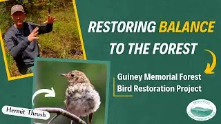 Restoring Balance: The Guiney Memorial Forest Bird Restoration Project