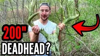 MONSTER DEADHEAD Found Shed Hunting On FRIDAY THE 13TH!!