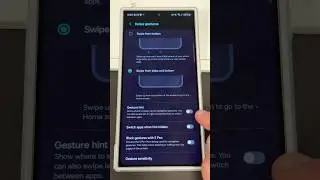 Galaxy S24 Ultra - Remove The Ugly Gesture Hint ASAP!