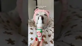 My dogs 10 step Christmas skincare routine ✨🎄 #christmas #dog #pets #puppy #skincare #dogshorts