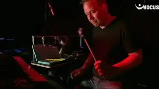Bass is Boss Mocus
