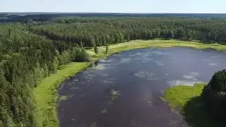 Hannu Haapasaari Siboney