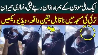 Cat Joins Imam Reciting the Call to Prayer (Adhan) in Turkey | Unexpected Moment | Haqeeqat Jano