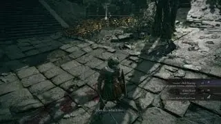 Killing Gostoc because he&lsquo;s creepy | Elden Ring