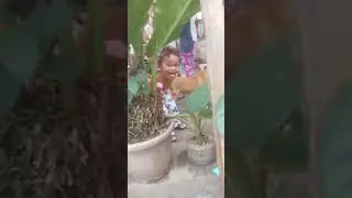 bunal daii