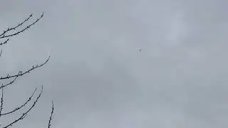 Extra ea-300 , g-offo. Gentle aerobic&rsquo;s today. 