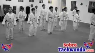 Basic Taekwondo Class for Children