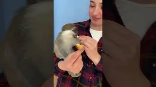 Рікі снідає ❤️