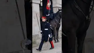 Honouring The Captain & The King's Guard: A Tribute at Horse Guards in London#kingsguard#britisharmy