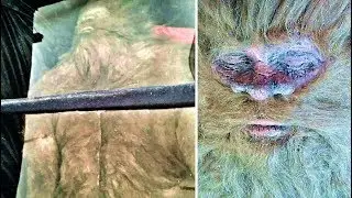 6 Mysterious Events From West Virginia That Can't Be Explained