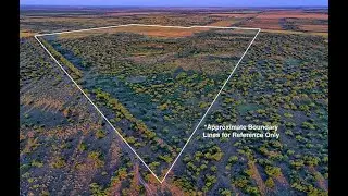 247 Acre Hunting & Recreational Ranch in Hardeman County, Texas | River Frontage & Wildlife Haven