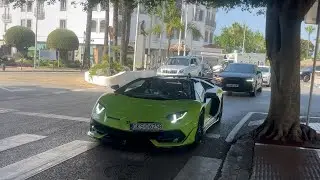 BEST Of Cars in Puerto Ban&uacute;s Summer 2025