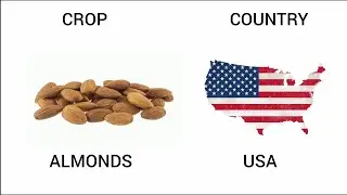 🌍  Countries & Their Largest Crop Productions | World Agriculture Facts | BNK
