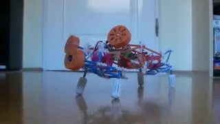 Experience Workshop's 4DFrame robot creature