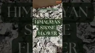 HIMALAYAN STONE FLOWER | A1 HANDPICKED | NO WOOD | LICHEN SPICES | CARTON PACK |