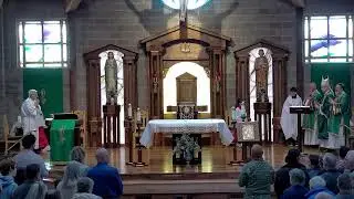 Saint Peter Catholic Church Live Stream