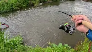 sea trout fishing devon