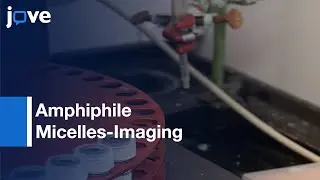 Synthesis: Monocyte-Targeting Peptide Amphiphile Micelles-Imaging:Atherosclerosis l Protocol Preview