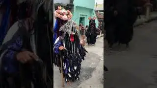 folia do Adão