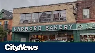 A look inside the historic Harbord Bakery